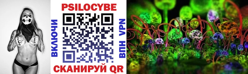 Псилоцибиновые грибы MAGIC MUSHROOMS  blacksprut вход  Нерюнгри 